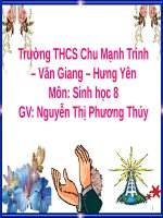 Bài 16. Tuần hoàn máu và lưu thông bạch huyết