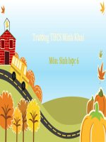 Bài 41. Hạt kín - Đặc điểm của thực vật Hạt kín