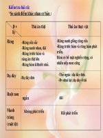 Bài 17. Hô hấp ở động vật