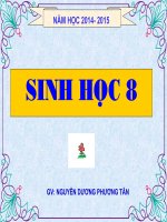 Bài 21. Hoạt động hô hấp