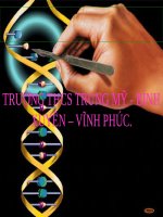 Bài 20. Thực hành: Quan sát và lắp mô hình ADN