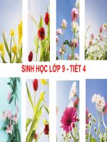 Bài 4. Lai hai cặp tính trạng