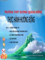 Bài 25. Thực hành: Hướng động
