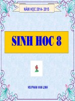 Bài 65. Đại dịch AIDS - Thảm họa của loài người