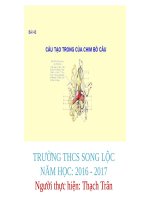 Bài 43. Cấu tạo trong của chim bồ câu