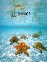 Bài 30. Ôn tập phần I - Động vật không xương sống