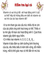 Bài 36. Tiêu chuẩn ăn uống. Nguyên tắc lập khẩu phần