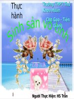 Bài 43. Thực hành: Nhân giống vô tính ở thực vật bằng giấm, chiết, ghép