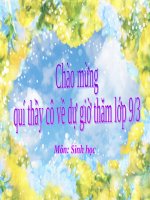 Bài 23. Đột biến số lượng nhiễm sắc thể