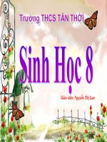 Bài 11. Tiến hóa của hệ vận động. Vệ sinh hệ vận động