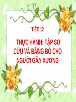 Bài 12. Thực hành: Tập sơ cứu và băng bó cho người gãy xương