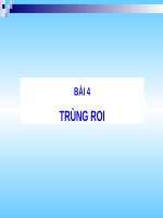 Bài 4. Trùng roi