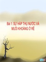 Bài 1. Sự hấp thụ nước và muối khoáng ở rễ