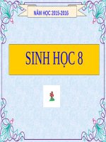 Bài 18. Vận chuyển máu qua hệ mạch. Vệ sinh hệ tuần hoàn