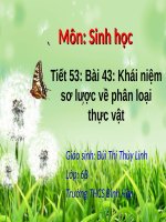 Bài 43. Khái niệm sơ lược về phân loại thực vật