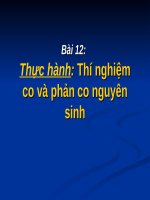 Bài 12. Thực hành: Thí nghiệm co và giảm co nguyên sinh