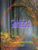 Bài 17. Mối quan hệ giữa gen và ARN