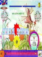 Bài 45. Thực hành: Tìm hiểu môi trường và ảnh hưởng của một số nhân tố sinh thái lên đời sống sinh vật