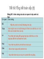 Bài 65. Tổng kết chương trình toàn cấp (tiếp theo)