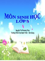 Bài 23. Đột biến số lượng nhiễm sắc thể