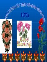 Bài 34. Đa dạng và đặc điểm chung của các lớp Cá