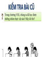 Bài 43. Khái niệm sơ lược về phân loại thực vật