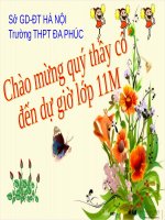 Bài 16. Tiêu hoá ở động vật (tiếp theo)