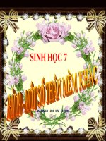 Bài 19. Một số thân mềm khác