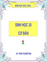 Bài 15. Thực hành: Một số thí nghiệm về enzim