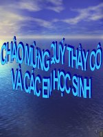 Bài 23. Thực hành: Hô hấp nhân tạo