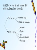 Bài 27. Các yếu tố ảnh hưởng đến sinh trưởng của vi sinh vật