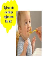 Bài 14. Enzim và vai trò của enzim trong quá trình chuyển hóa vật chất