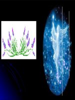 Bài 4. Lai hai cặp tính trạng