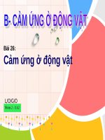 Bài 26. Cảm ứng ở động vật