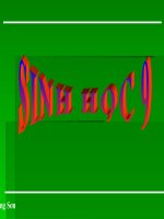 Bài 14. Thực hành: Quan sát hình thái nhiễm sắc thể