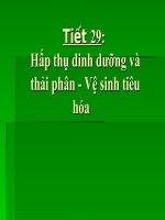 Bài 29. Hấp thụ chất dinh dưỡng và thải phân