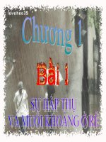 Bài 1. Sự hấp thụ nước và muối khoáng ở rễ