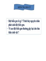 Bài 22. Đột biến cấu trúc nhiễm sắc thể