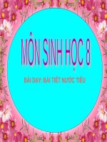 Bài 39. Bài tiết nước tiểu