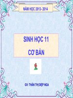 Bài 1. Sự hấp thụ nước và muối khoáng ở rễ