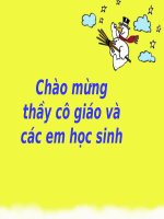 Bài 4. Vai trò của các nguyên tố khoáng