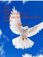 Bài 61. Tìm hiểu một số động vật có tầm quan trọng trong kinh tế ở địa phương