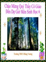 Bài 47. Thực vật bảo vệ đất và nguồn nước