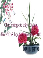 Bài 26. Cảm ứng ở động vật