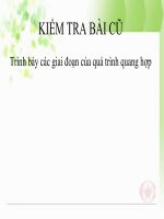 Bài 18. Chu kì tế bào và quá trình nguyên phân