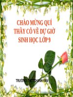 Bài 38. Thực hành: Tập dượt thao tác giao phấn