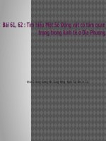 Bài 62. Tìm hiểu một số động vật có tầm quan trọng trong kinh tế ở địa phương