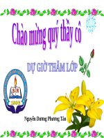 Bài 17. Mối quan hệ giữa gen và ARN