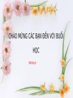 Bài 50. Vi khuẩn