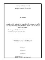 Nghiên cứu hiệu ứng truyền năng lượng giữa các hạt nano quang và ứng dụng chế tạo sensor sinh học (tt)